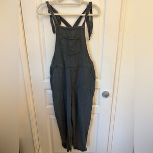 Aerie Overalls